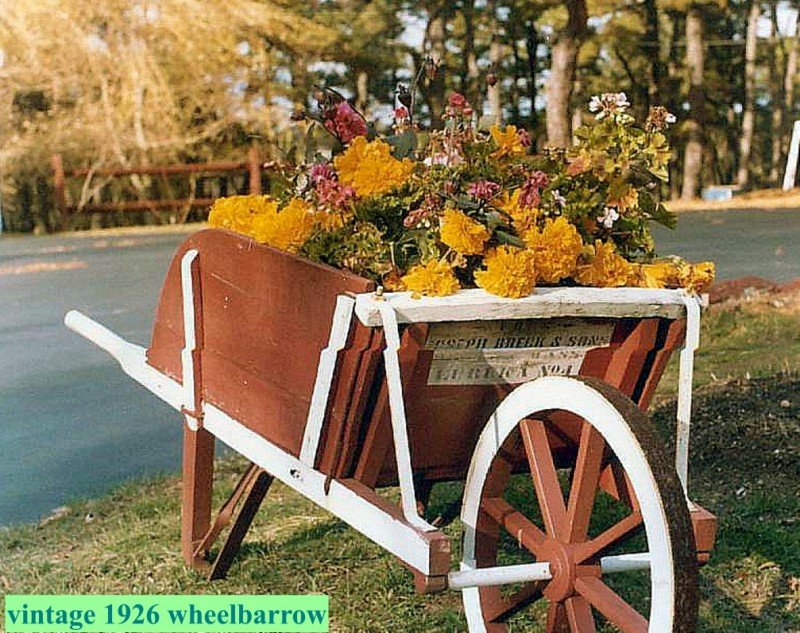 Wheelbarrow with flowers